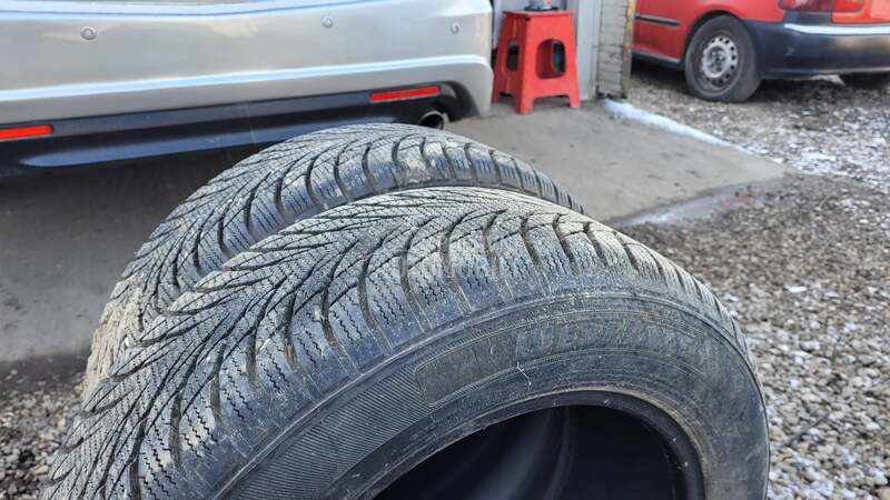 Westlake 195/60 R15 Sve sezone