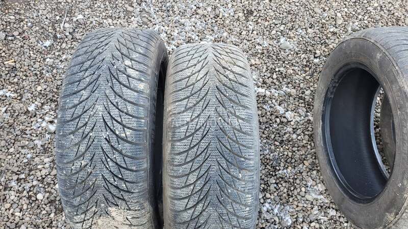 Westlake 195/60 R15 Sve sezone
