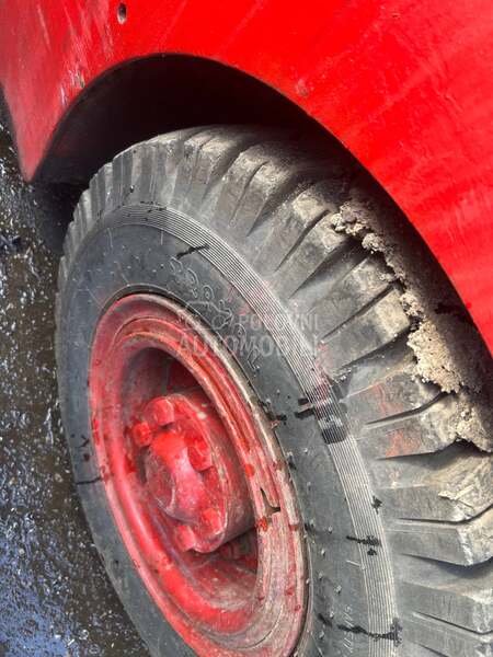 Steinbock Boss 2 tone