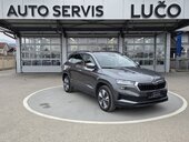 Škoda Karoq 2.0 TDI DSG rest