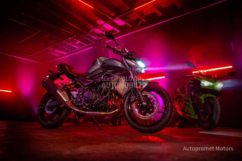 Kawasaki Z 500