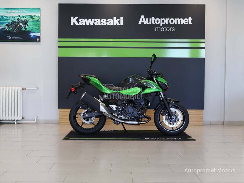 Kawasaki Z 500