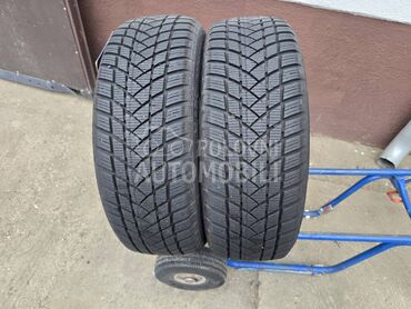 GT Radial 205/60 R16 Zimska