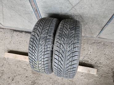 Goodyear 205/55 R16 Sve sezone
