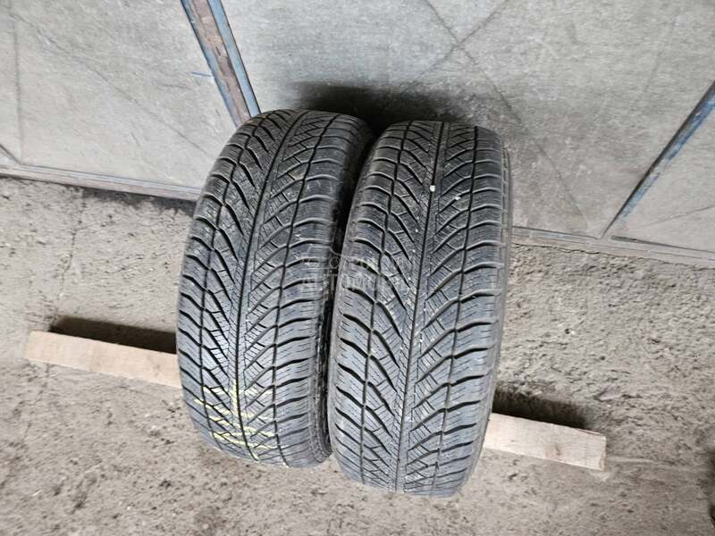 Goodyear 205/55 R16 Sve sezone