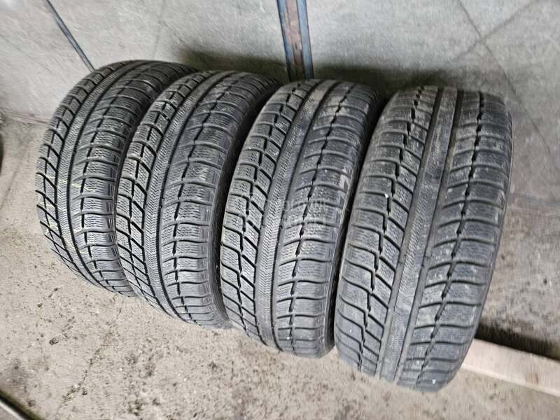 Michelin 225/55 R16 Sve sezone