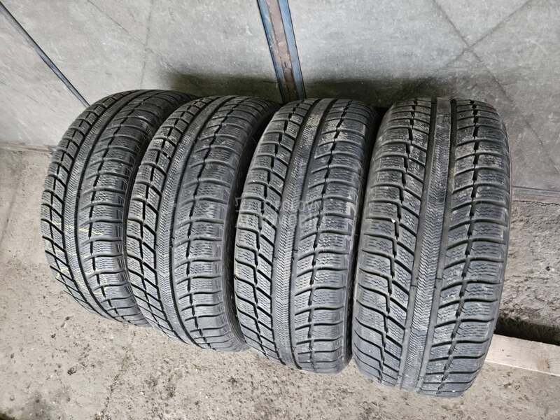 Michelin 225/55 R16 Sve sezone