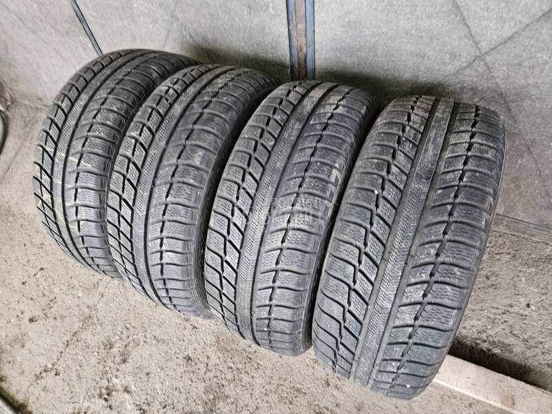 Michelin 225/55 R16 Sve sezone