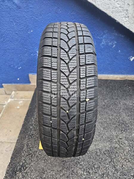 Riken 195/65 R15 Zimska