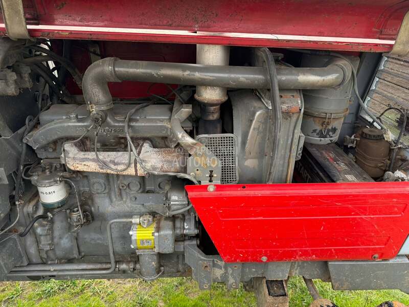 Massey Ferguson 294s