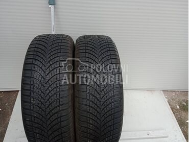 Goodyear 205/60 R16 Zimska