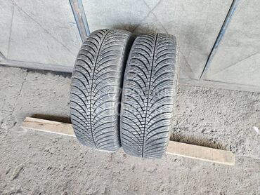 Goodyear 205/60 R16 Sve sezone