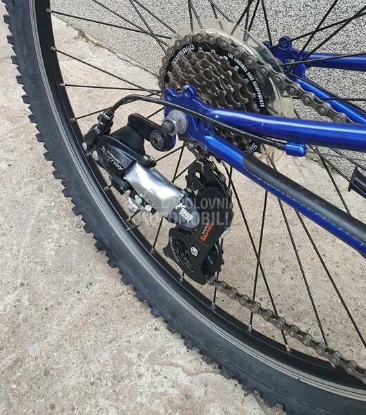 Bulls CALIFORNIA ZAPP FS