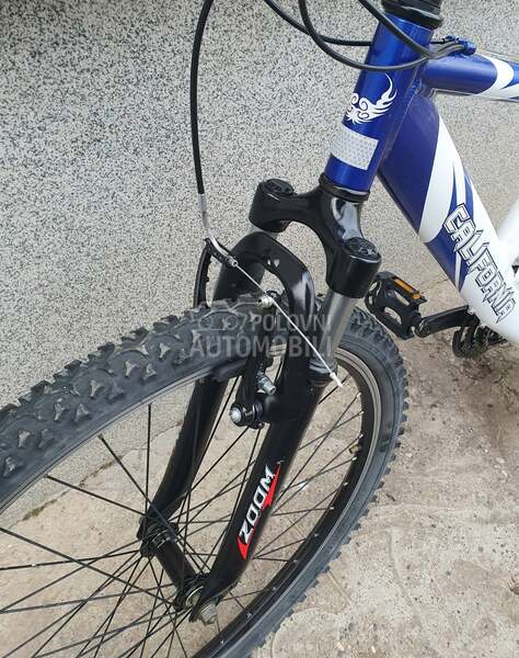 Bulls CALIFORNIA ZAPP FS