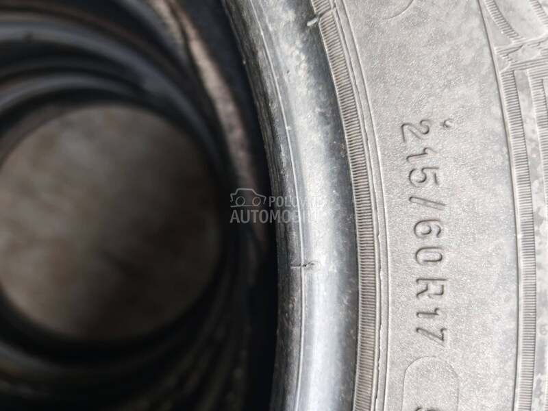 Michelin 215/60 R17 Sve sezone