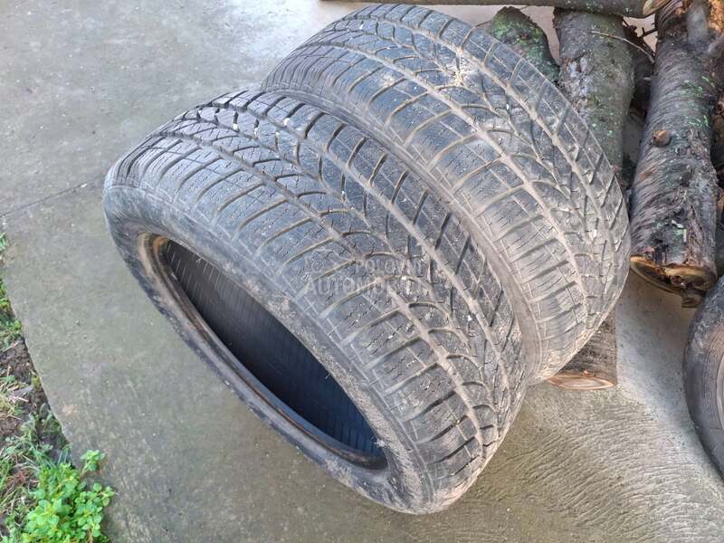 Taurus 205/55 R16 Zimska