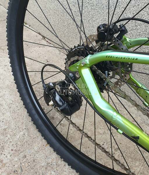 Bulls SHARPTIL STREET 3 3X8