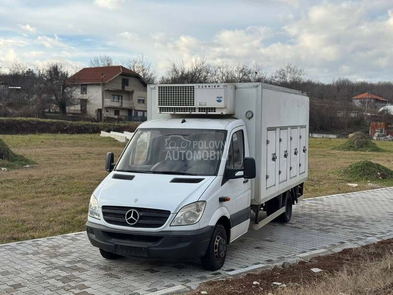 Mercedes Benz Sprinter 516 Carrier