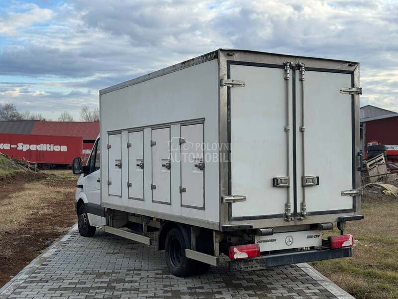 Mercedes Benz Sprinter 516 Carrier