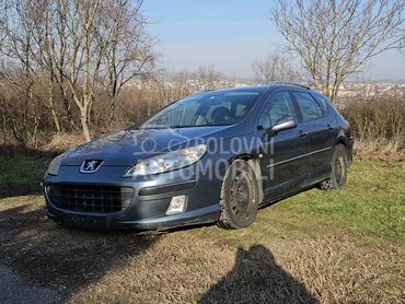 Hauba za Peugeot 407