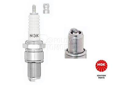 Svecica Can-am B10ES