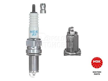 Svecica Can-am  DCPR8E