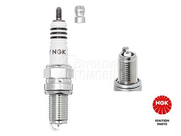 Svecica Can-am  DCR8EIX