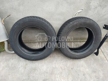 GT Radial 195/65 R15 Zimska