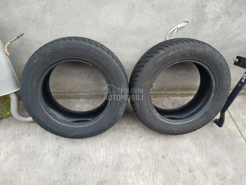 GT Radial 195/65 R15 Zimska