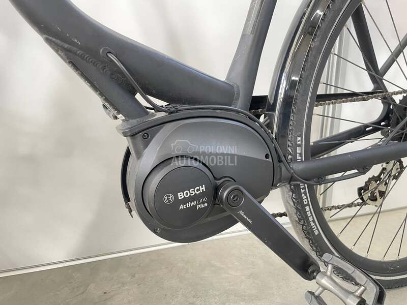 Pegasus Solero e8 bosch L vel