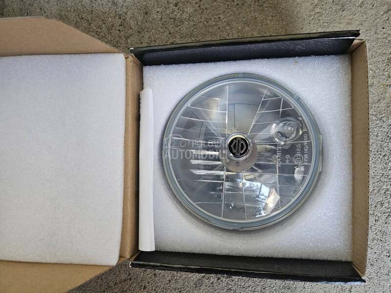 Harley Davidson XL883N