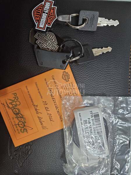 Harley Davidson XL883N