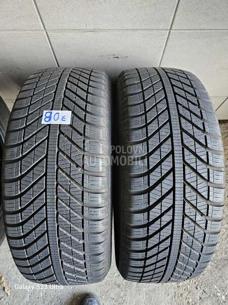Goodyear 205/55 R16 Sve sezone