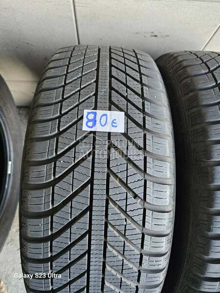 Goodyear 205/55 R16 Sve sezone
