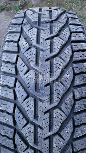 Riken 205/55 R16 Zimska