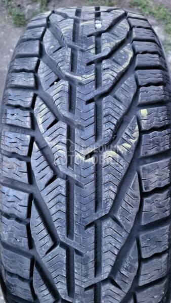 Riken 205/55 R16 Zimska