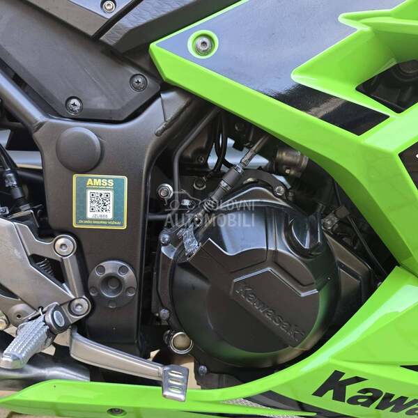 Kawasaki NINJA 300