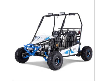 Tao Motor Buggy Triton 125