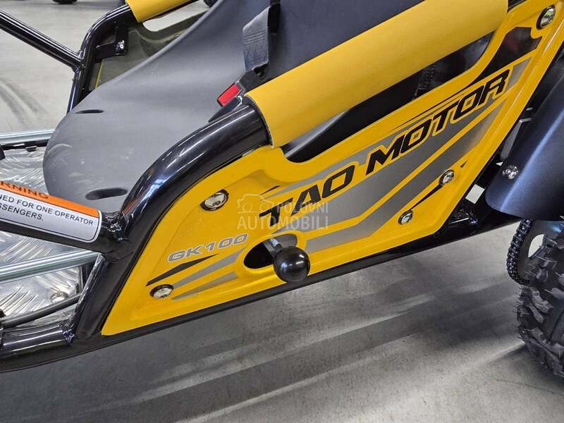 Tao Motor Buggy GK100