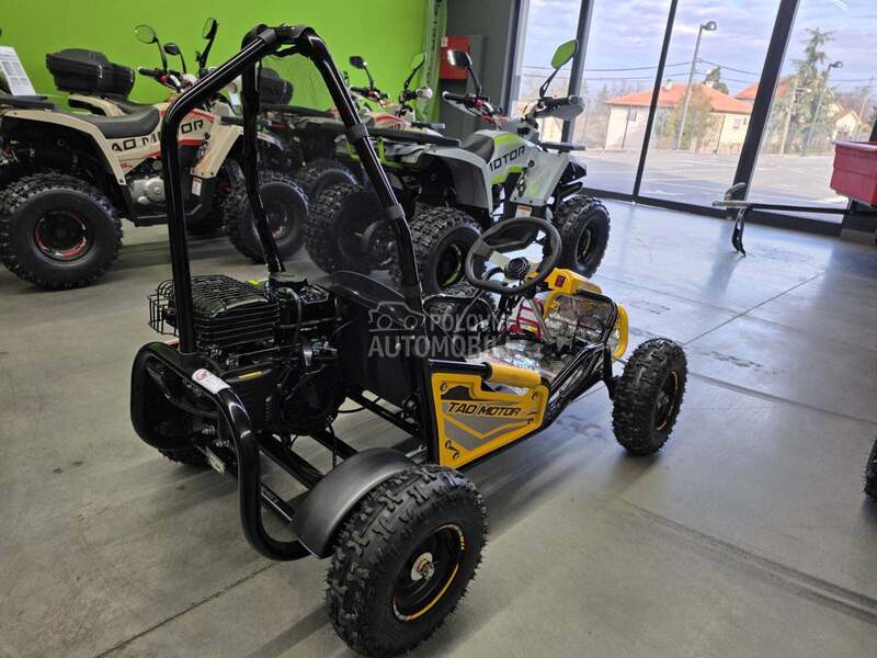 Tao Motor Buggy GK100