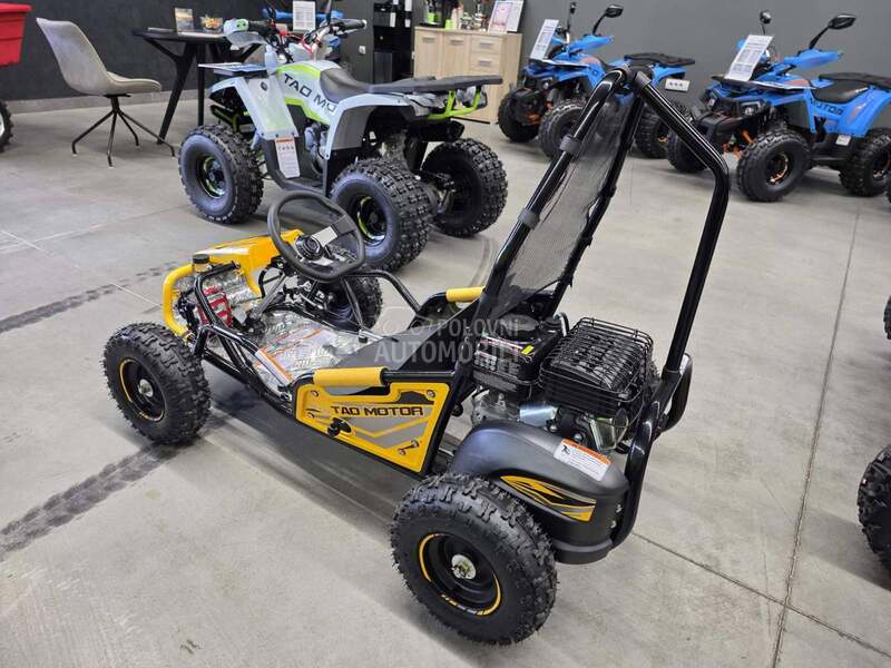 Tao Motor Buggy GK100