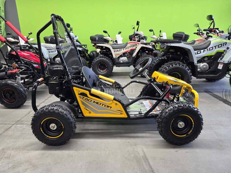 Tao Motor Buggy GK100