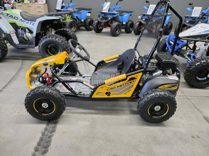Tao Motor Buggy GK100