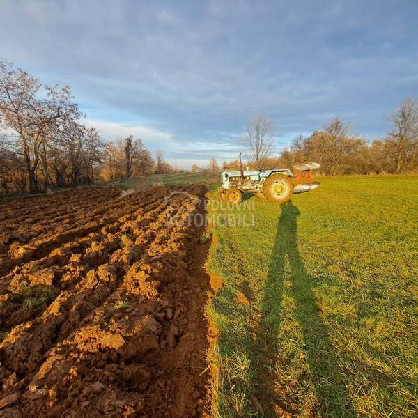 Massey Ferguson 14 coli