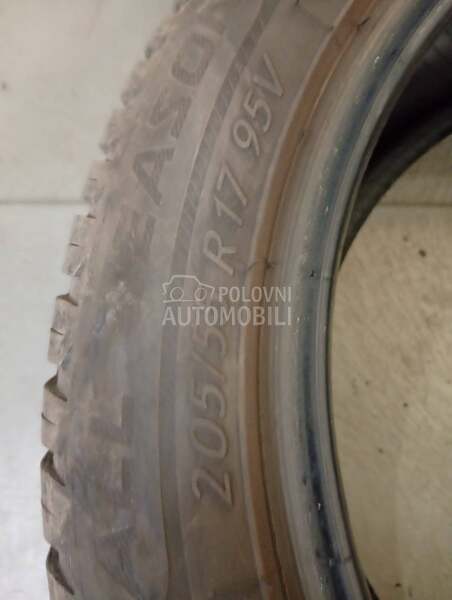 Taurus 205/55 R17 Sve sezone