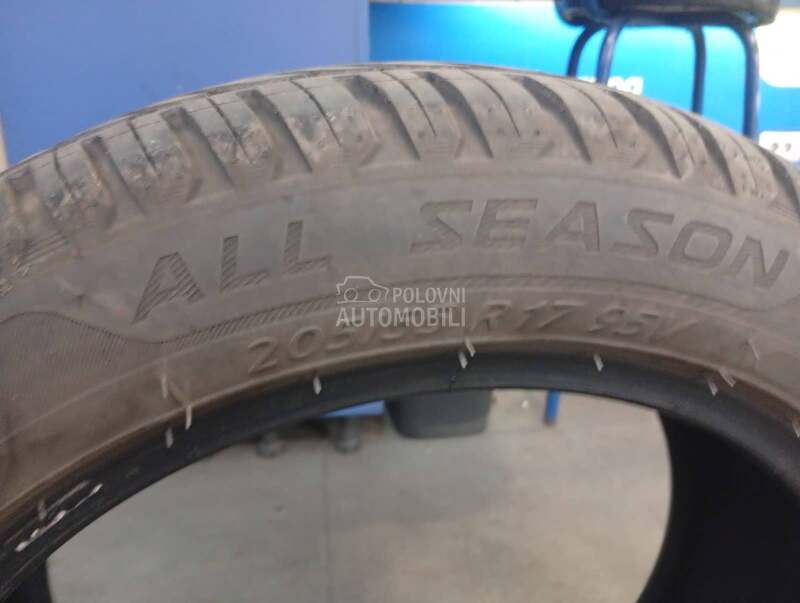 Taurus 205/55 R17 Sve sezone