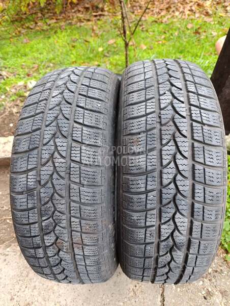 Taurus 225/55 R17 Zimska