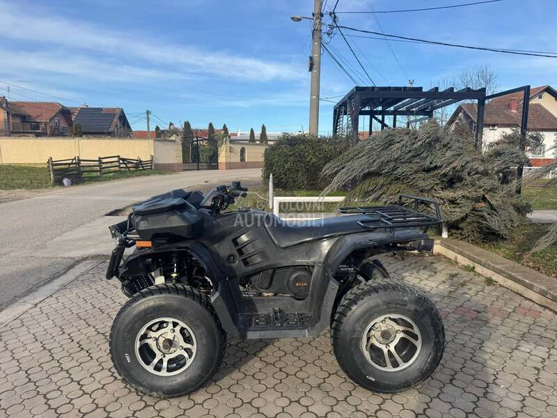 ATV buyang 300