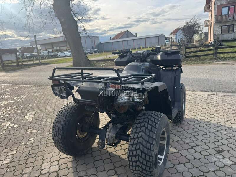 ATV buyang 300