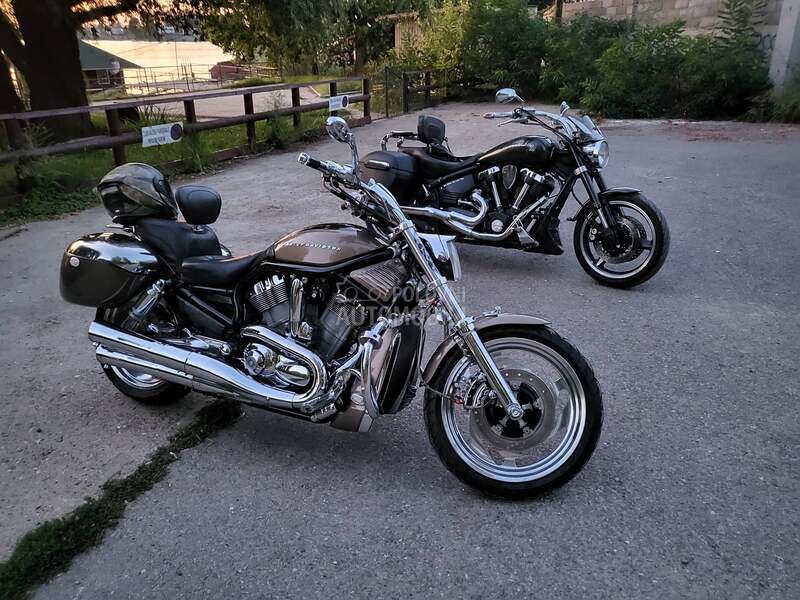 Harley Davidson V ROD VRSCA